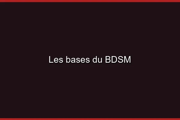 Comprendre le concept